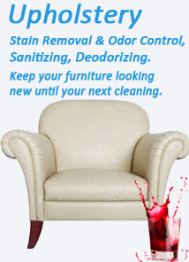 Upholstery Stain Removal