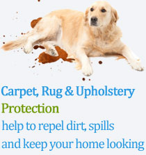 Carrollton Carpet Cleaning