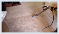 TX Carrollton Carpet Cleaning